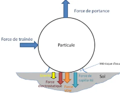 Figure 1 : Forces exercées sur une particule en contact avec une surface et soumise à un  écoulement d’air 
