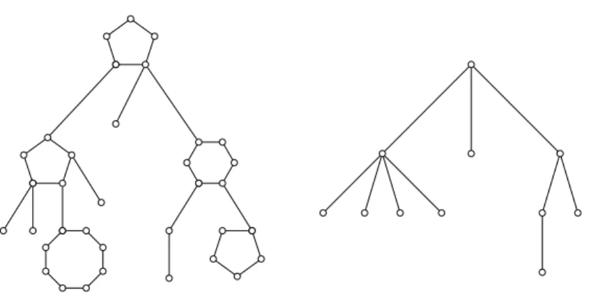 Figure 2. A tree of cycles (on the left), and the associated tree obtained by collapsing cycles (on the right).