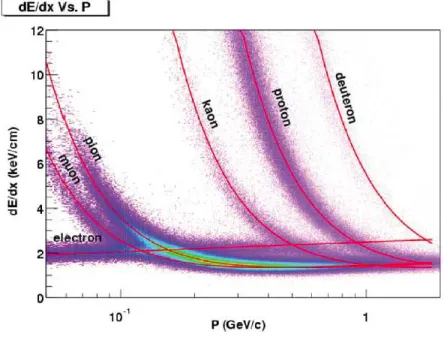 Fig. 2.11  Perte d'énergie en fontion de l'impulsion pour diérentes partiules
