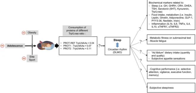 Figure 1. Study objectives (CRH, corticotropin-releasing hormone; DHEA, dehydroepiandrosterone; 