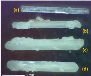Figure 5 presents a qualitative comparison of the crystal characteristics observed before and after the reaction