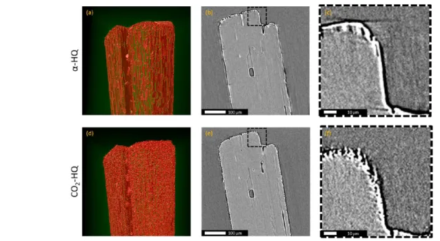 Figure 5. X ray tomography images of a single α HQ crystal (top) and of the same crystal after enclathration with CO 2 (bottom): (a, d) 3D view in false color of the top of the crystal, (b, e) longitudinal cross section, and (c, f) zoom on a region of inte