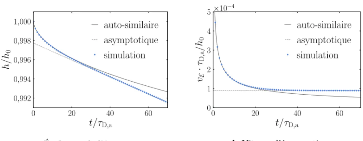 Figure 3.9 Comparaison de la simulation numérique avec les solutions analytiques des régimes auto-similaire (B.16) et asymptotique (3.13).