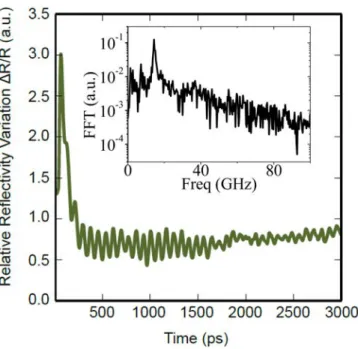 FIG. 2. Transient re ﬂ ectivity obtained on a free standing Ge-Si core-shell nano- nano-wire with a total diameter close to 250 nm