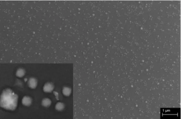 Fig. 4 Scanning electron microscope image of island clustering on a 1.5 nm thick Ge film