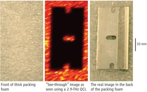 Figure 0.2.: THz image (left) and optical image of a fresh leaf. The contrast on the THz image is due to the dierence of water content in dierent leaf parts