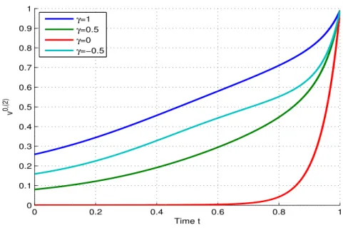 Figure 1: v 0 t in function of time t ∈ [0, T ] with T = 1 and λ = 0.01 for different values of γ.