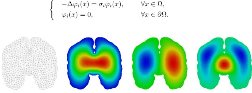 Figure 2. Initial mesh (left), initial basis functions n o 1, n o 2 and n o 5 (right).