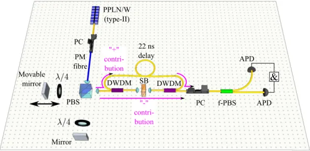Figure 2.22.: Experimental setup for manipulating the quantum state symmetry. The emission of the type-II PPLN/W is sent through a PM fibre to compensate the waveguide birefringence