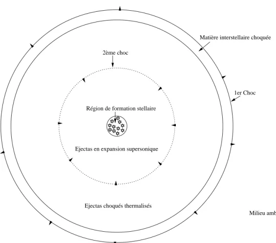 Fig. 2.1 { Schema d'une super-bulle creee par un site de formation stellaire.