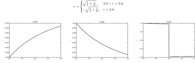 Figure 6.1: Solution at time t = 20 from a steady state initial data, using the Glimm scheme