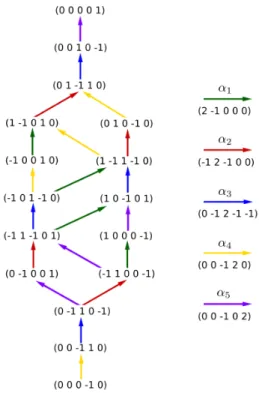 Figure 3.2 : Poids de la représentation de dimension 16 et des racines simples positives de SO(10)