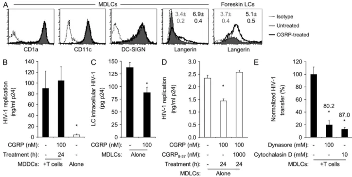 Figure 2.  CGRP increases langerin surface expression and decreases HIV-1 replication