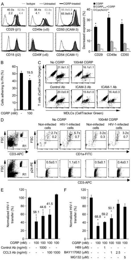 Figure 3.  CGRP decreases LC adhesive potential,  LC–T cell conjugate formation, and T cell infection  and increases CCL3/MIP-1 secretion