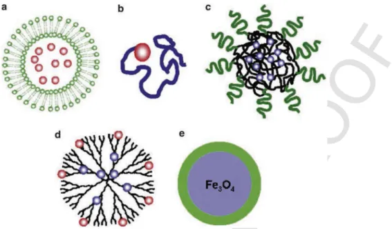 Fig. 9. Schematic illustration of therapeutic nanoparticle platforms in preclinical development: (a) liposome, (b) polymer–drug conjugate, (c) polymeric nanoparticle, (d) dendrimer, and (e) iron oxide nanoparticle