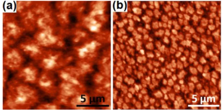 Figure 2  E. Assaf et al. 