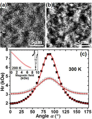 Figure 4  E. Assaf et al. 