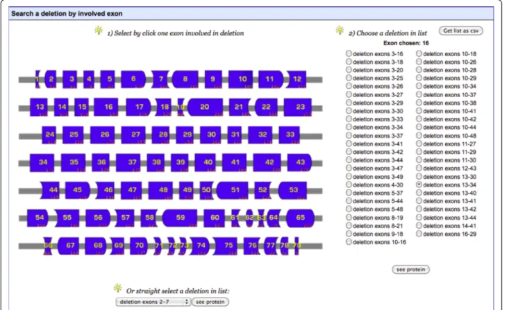 Figure 3 Screenshot of “ Search by mutation type/Deletions ” tool. The user can select an exon and then a deletion involving this exon