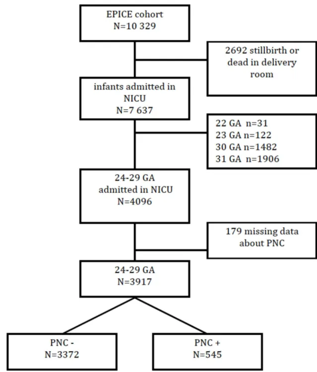 Fig 1. Flow chart of infants who met inclusion/exclusion criteria for the study. PNC, postnatal corticosteroids; NICU, neonatal intensive care unit; GA: gestational age.