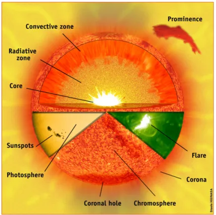 Figure 1.7 – Vue sché- sché-matique du Soleil et de sa structure interne.  (so-howww.nascom.nasa.gov)