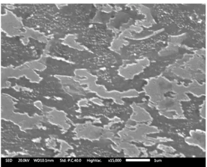 Figure 1. SEM SED image acquired on sample B after an etching in 4 mL HF + 2 mL HNO 3  + 100 mL  water