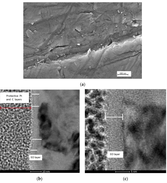 Figure 4. SEM image of the electrochemical oxidation (EO) sample surface (a); TEM cross section  images on bulk electrochemical oxide EO sample obtained after 3 h at 1V/Ag/AgCl in sulphate  solution: (b) low magnification; (c) high magnification