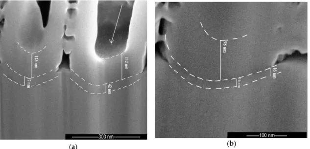 Figure 5. SEM cross section images of TiO 2  nanotubes structures: (a) on nanostructuration (N)-HT  after heat treatment at 450 °C during 3 h; (b) on N-EO after bulk electrochemical oxidation