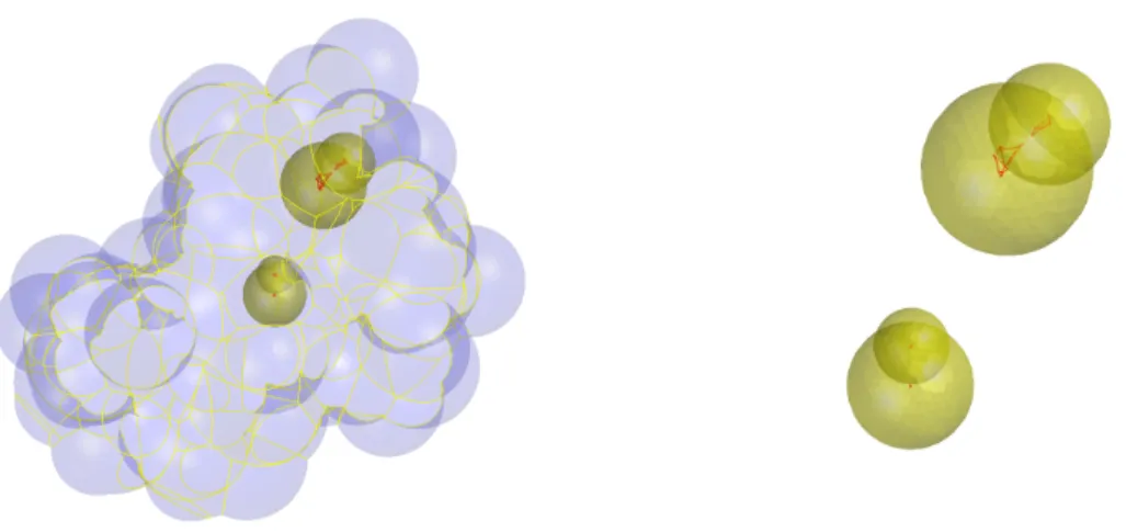 Figure 9: The left figure shows the SAS (blue) of 1ETN with r p = 0.7Å and the added virtual spheres (yellow) filling the inner holes