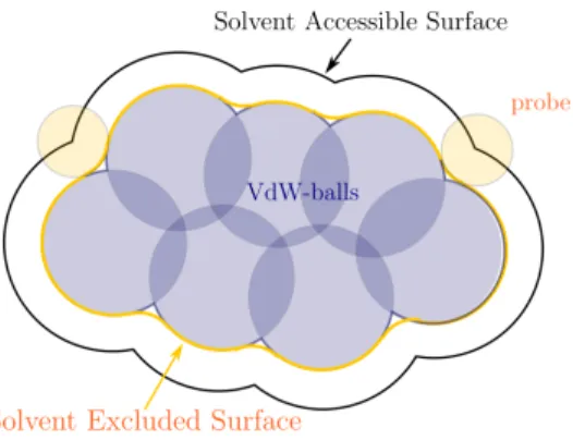 Figure 2: 2-dimension (2D) schematics of the Solvent Accessible Surface and the Solvent Excluded Surface, both defined by a spherical probe in orange rolling over the molecular VdW-atoms in dark blue.