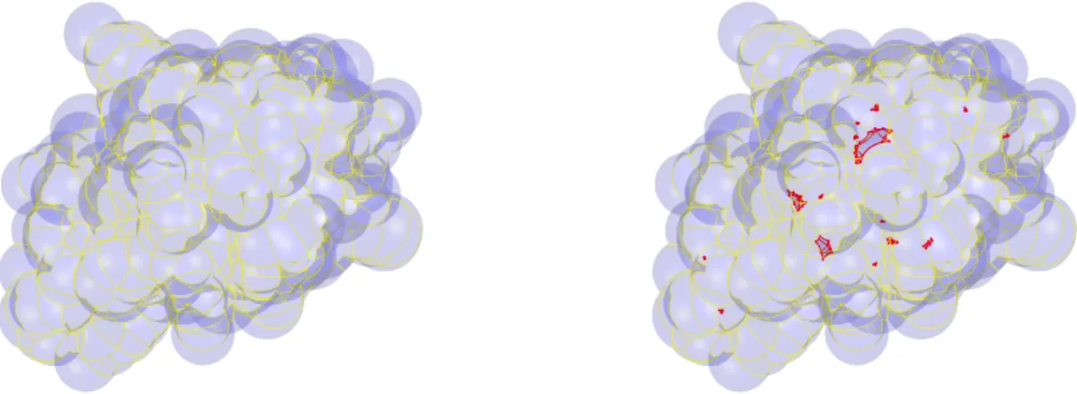 Figure 3: The transparent eSAS (left) and the transparent cSAS (right) of 1B17 with 485 atoms where the probe radius r p = 1Å