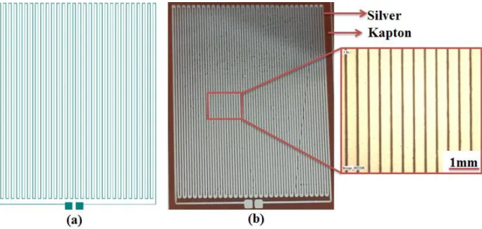 Fig. 4. Photographs of (a) designed temperature sensor and (b) inkjet printed silver temperature  sensor on Kapton substrate 