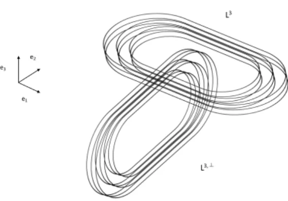 Figure 8: The sets L k and L k,⊥ are linked 3.4 The k-spaghetton map S k pag and its properties Choosing % k = 10 −3 % 0 (S k ) we define the k-spaghetton map S k as