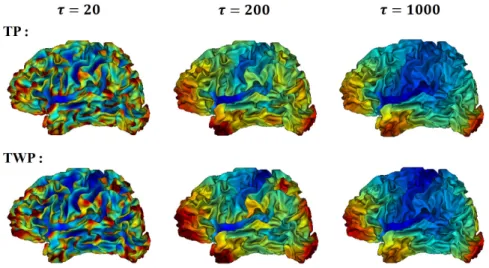 Fig. 4. Gyrification indices, TP and TWP, derived from 3 different window sizes (τ ), for the surface of the smallest brain