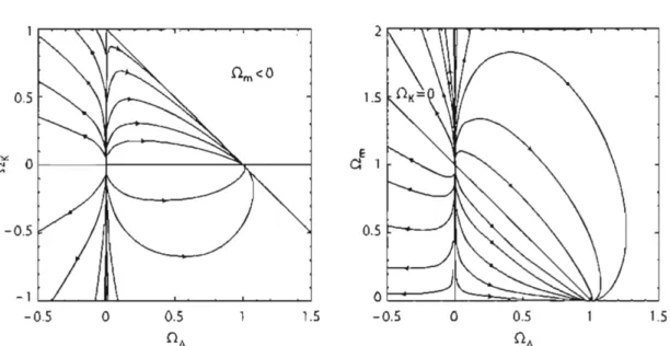 Figure 2.2: Dynamical evolution in the plane (Ω K , Ω Λ ) (left) and (Ω m , Ω Λ ) (right) for a matter content with equation of state w = 0