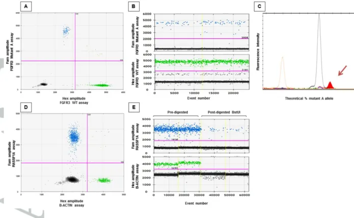 Figure  4.  Genotyping  the  FGFR3  c.1138G&gt;A  mutation  by  ddPCR  and  minisequencing  assays  in  plasmatic  DNA  from  maternal  blood  at  22  weeks  of  pregnancy