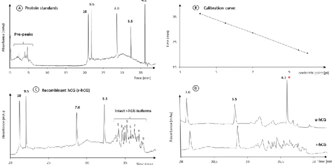Figure 2: Analysis of r-hCG and u-hCG by CIEF-UV. (A) CIEF analysis of 5 pI markers, (B)  Calibration curve, (C) CIEF analysis of hCG, and (D) overlay CIEF electropherograms of  r-hCG and u-r-hCG in a reduced time range (marker 4.1 added only in the u-r-hC