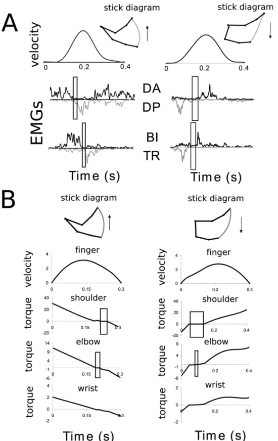 Figure 5. Typical experimental data of a 3-dof vertical arm motion performed in upward (left) and downward (right) directions