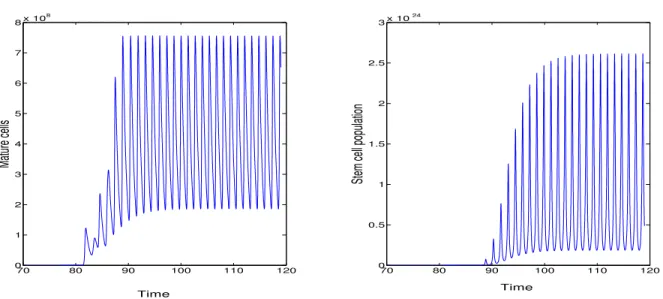 Figure 2: Example of instability, in illustration of Proposition 4.3. Left: evolution of mature cells