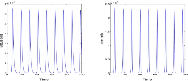 Figure 4: Example of instability, in illustration of Proposition 4.2. Left: evolution of mature cells
