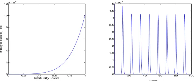 Figure 5: Same case as in Figure 4. Left: final distribution of cells according to their maturity level