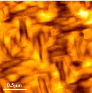 Fig. 2.13: Image AFM de la surface de l’´echantillon Ge122b avec d´epart de croissance avec ALE.