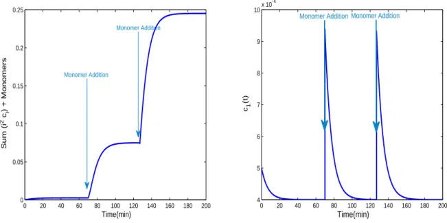 Figure 3. Simulation of the first three additions of monomers with solute-dilution in the second and third ones.