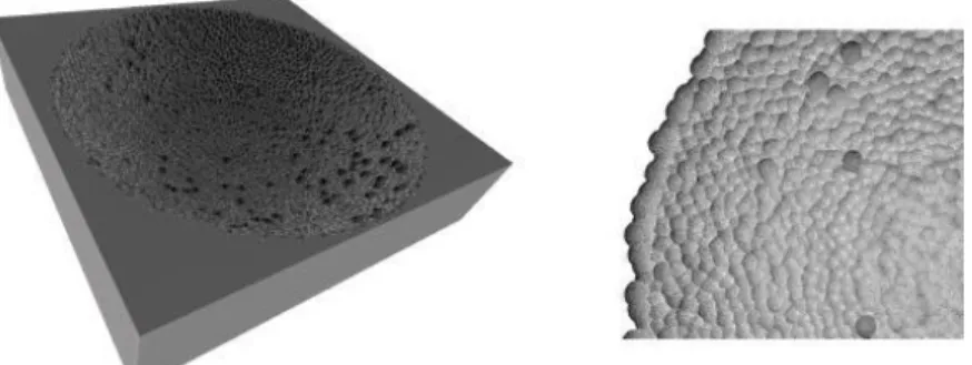 Figure 5 : Voxel workpiece after simulation (left) and details of the craters (right)