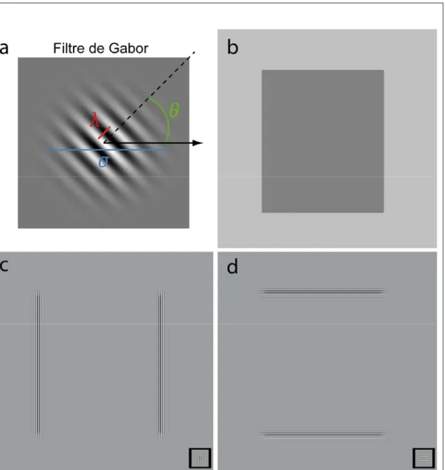 Figure E2 : Exemple simple d’une des utilisations des filtres de Gabor en analyse  d’images