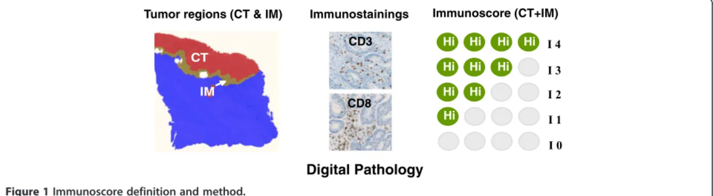 Figure 1 Immunoscore definition and method.