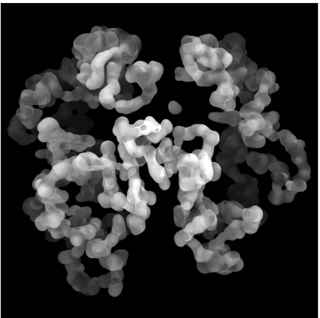 Figure 1 -- Chaque forme est une interrogation: Human Genomics (détail). 