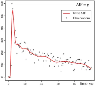 Figure 2: Observations of an arterial input function (AIF) corresponding to kernel g coming from one patient in the REMISCAN study [29] and fitted estimator of g using an expansion over the system of the Laguerre functions with M = 17.