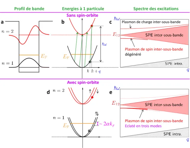 Fig. 4.1. Haut : Le plasmon de spin inter-sous-bande consiste en une superposition cohérente de transitions électroniques (paires électron-trou, notées SPE), de vecteur d’onde q, entre la première et la seconde sous-bande du puits quantique (a et b)