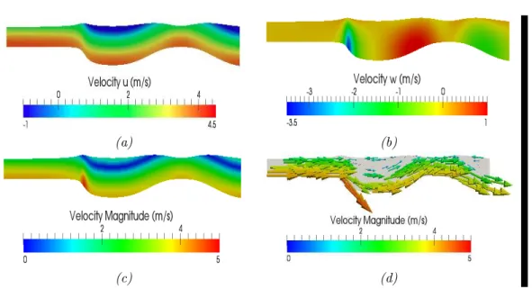 Fig. 5.1 . Surface level of the continuous solution and (a) horizontal velocity, (b) vertical velocity, (c) velocity norm, (d) velocity field (arrow).