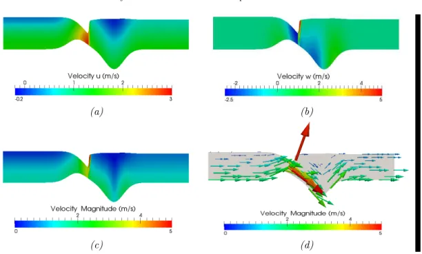 Fig. 5.2 . Surface level of the solution with shock and (a) horizontal velocity, (b) vertical velocity and (c) velocity norm, (d) velocity field (arrow).